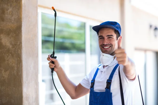 Greenville Wasp Removal