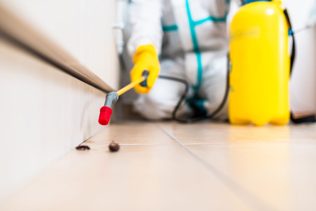 Greenville Cockroach Experts