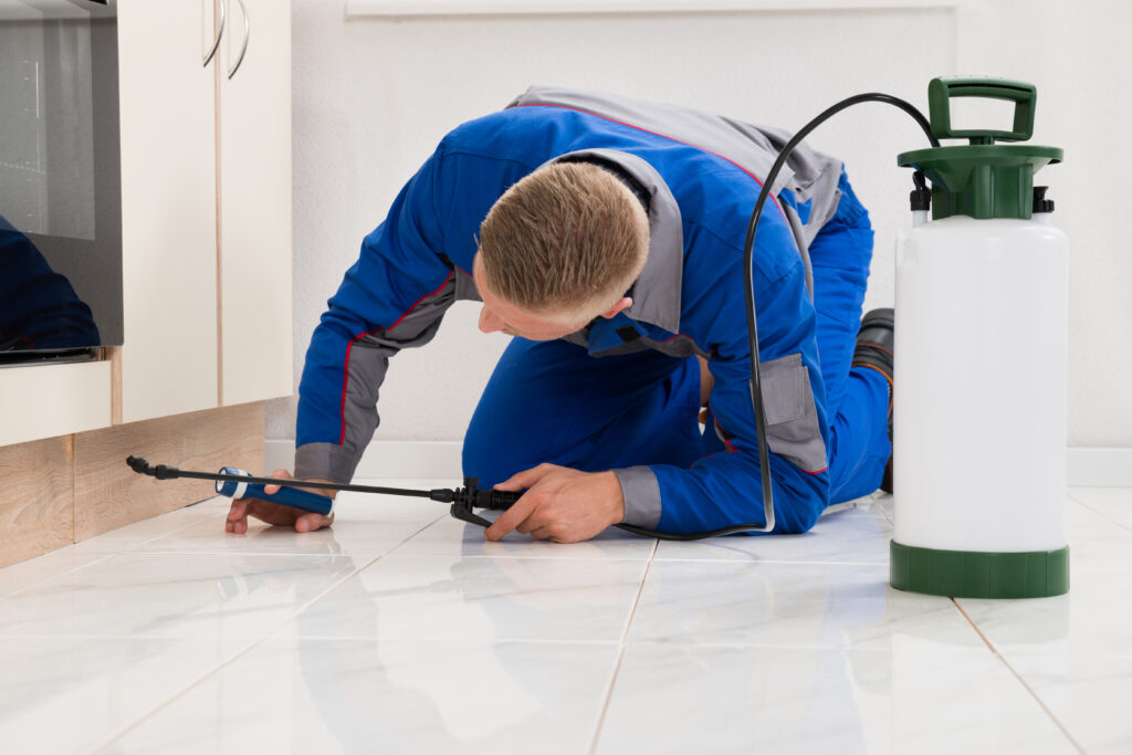 Greenville Ant Control Xperts