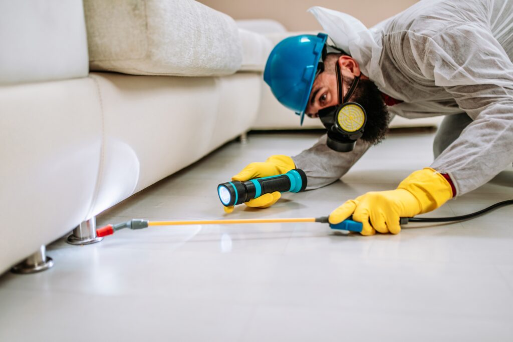 Greenville Termite Control