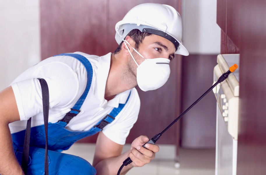 Greenville local pest services