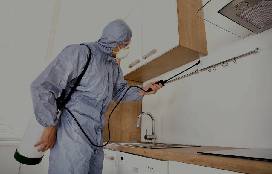 Greenville pest managment