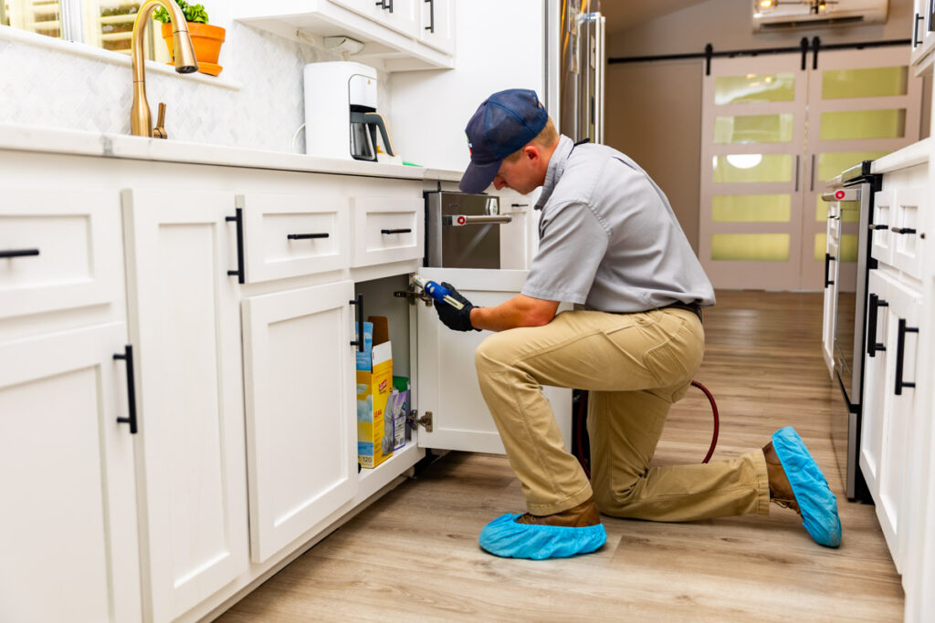 Greenville xpert pest management
